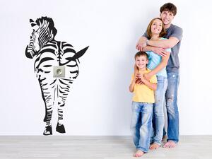Odvážná zebra 53,8 x 100 cm