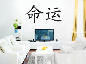Čínské písmo Osud 100 x 49 cm