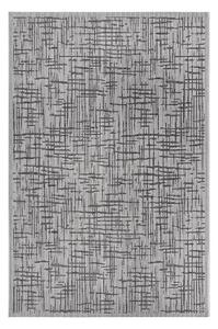 Šedý venkovní koberec 76x150 cm Clyde Telu – Hanse Home