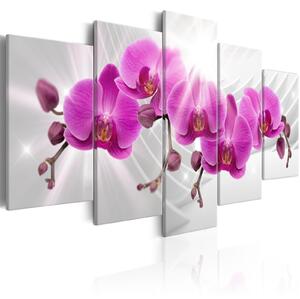 Obraz - Abstraktní zahrada: Růžové orchideje 100x50