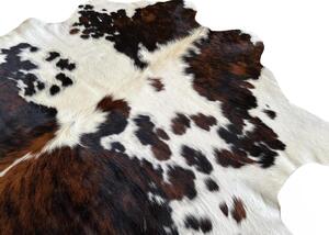 Koberec kusový hovězí kůže 3,7 m2, exotic tricolor 140 Exotic tricolor 3,0 - 3,9 m2