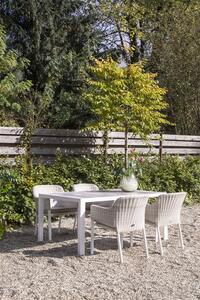 Tanger zahradní stůl Hartman o rozměru 168x105cm Barva: Xerix