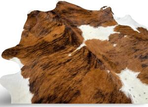 Koberec kusový hovězí kůže 3,8 m2, exotic tricolor 700 Exotic tricolor 3,0 - 3,9 m2