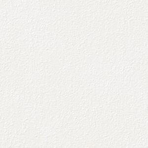 Rako Betonico Outdoor DAR66790 dlažba reliéfní 60x60 bílošedá 2 cm 0,72 m2