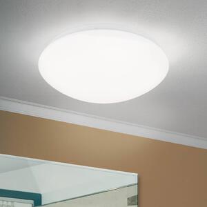 LED stropní svítidlo Nedo zakřivené, Ø 25 cm