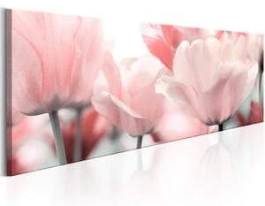 Obraz - Růžové tulipány 120x40