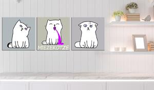 Obraz - Zvracející kočičky: Kočičí trio 120x40
