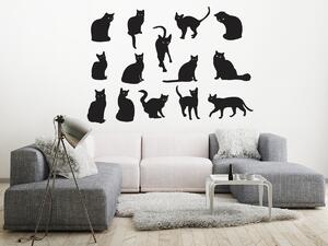 Černé kočky 50 x 35 cm