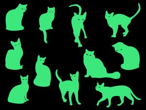 Svítící kočky arch 20 x 20 cm