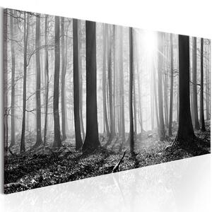 Obraz - Černobílý les 120x40