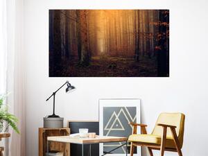 Hluboký les samolepící plakát 75 x 42 cm