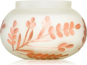 Paddywax Cypress & Fir Frosted White Glass with Copper Metallic Branch Etching vonná svíčka 255 g