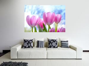Růžové tulipány 45 x 30 cm
