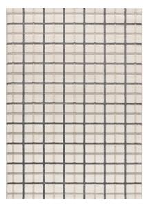 Šedo-krémový koberec 160x230 cm Karisma – Universal