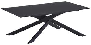KONFERENČNÍ STOLEK, černá, kov, sklo, 115/65/42 cm Stylife - Konferenční stolky