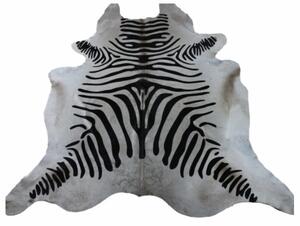 Luxusní kravská kůže zebra