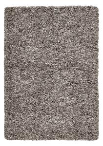 Šedý koberec 160x230 cm Vista – Think Rugs