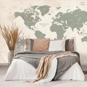 Samolepící tapeta decentní mapa světa - 375x250 cm