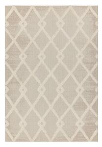 Krémový venkovní koberec 160x230 cm Monty – Asiatic Carpets
