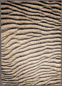 Hnědý koberec 80x120 cm Avanti – FD