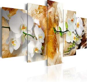 Obraz - Hnědá barva a orchidej 100x50