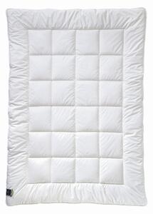 CELOROČNÍ PŘIKRÝVKA, 135/200 cm, polyester Billerbeck - Přikrývky, Online Only