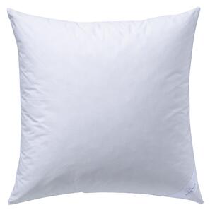 POLŠTÁŘ POD HLAVU, 80/80 cm Billerbeck - Polštáře pod hlavu, Online Only