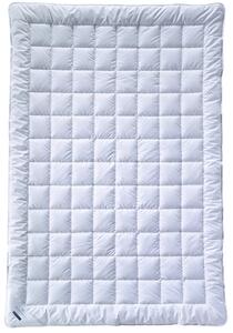LETNÍ PŘIKRÝVKA, 135/200 cm, bambus, duté vlákno Billerbeck - Přikrývky, Online Only