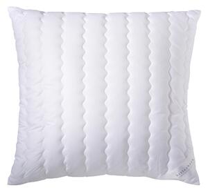 POLŠTÁŘ POD HLAVU, 80/80 cm Billerbeck - Polštáře pod hlavu, Online Only