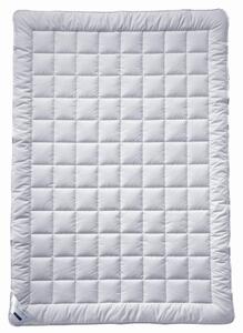 LETNÍ PŘIKRÝVKA, 135/200 cm, hedvábí Billerbeck - Přikrývky, Online Only