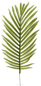 Umělý palmový list světlý - 50cm