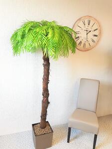 ArtTree s.r.o. Umělá palma světlá s kůrou- 200cm