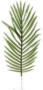 Umělý palmový list tmavý - 50cm