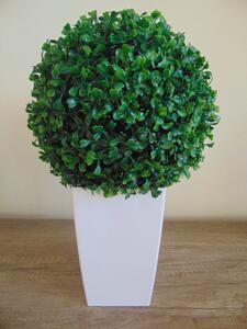 Buxus koule v květináči 35cm