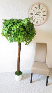 Umělý strom- Fíkus zelený koule 160 cm