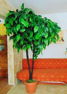 Umělý strom- ořech zelený 250cm