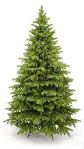 Borovice Limba 200cm- 100% 3D