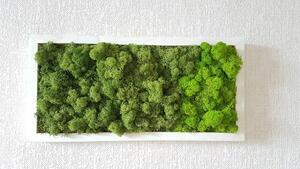 Dvoubarevný mechový obraz 20cm x 40cm