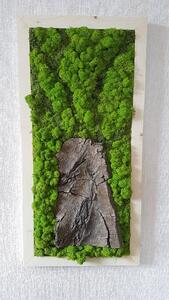 Lišejníkový obraz s přírodní kůrou 100cm x 30cm