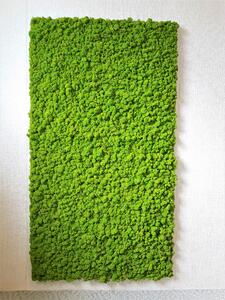 Mechový panel 180cm x 100cm