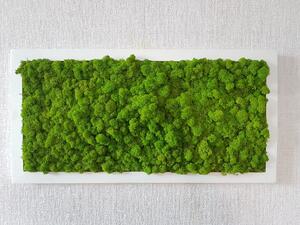 Mechový obraz 40cm x 80cm