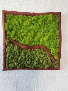 Dvoubarevný mechový obraz 62cm x 62cm