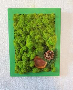 Mechový obraz 40cm x 30cm