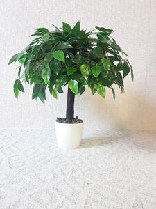 Umělý strom- Fíkus Benjamin 50cm