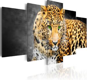 Obraz - Zelenooký leopard 100x50