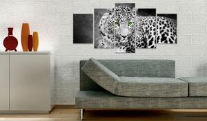 Obraz - Leopard - černobílý 100x50