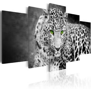 Obraz - Leopard - černobílý 100x50