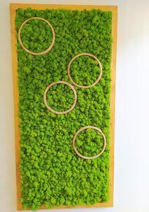 Mechový obraz- kruhy 150cm x 75cm