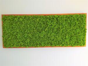 ArtTree s.r.o. Mechový obraz teak 60cm x 120cm