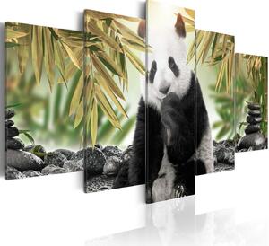 Obraz - Roztomilý medvídek panda 100x50
